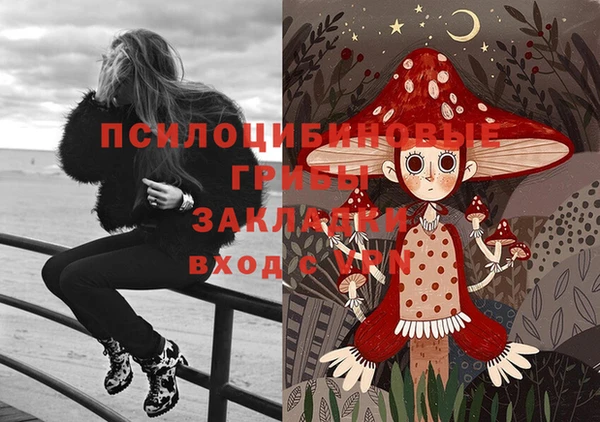 MESCALINE Елизово